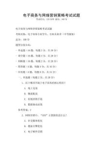 電子商務(wù)與網(wǎng)絡(luò)營(yíng)銷策略考試試題