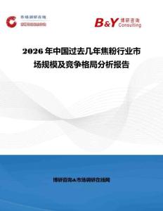2026年中國(guó)過(guò)去幾年焦粉行業(yè)市場(chǎng)規(guī)模及競(jìng)爭(zhēng)格局分析報(bào)告