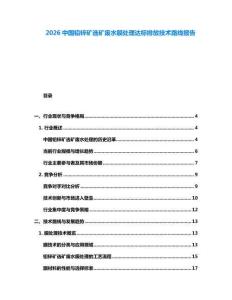 2026中国铅锌矿选矿废水膜处理达标排放技术路线报告