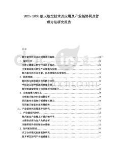2025-2030航天航空技術(shù)及應(yīng)用及產(chǎn)業(yè)鏈協(xié)同及管理方法研究報告