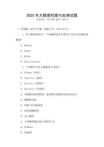 2025年大數(shù)據(jù)挖掘與處理試題