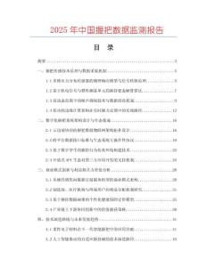 2025年中國握把數(shù)據(jù)監(jiān)測報告