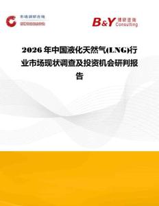2026年中國液化天然氣(LNG)行業市場現狀調查及投資機會研判報告
