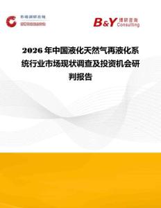2026年中國液化天然氣再液化系統行業市場現狀調查及投資機會研判報告
