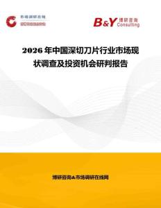 2026年中國深切刀片行業(yè)市場現(xiàn)狀調(diào)查及投資機會研判報告