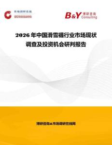 2026年中國滑雪襪行業(yè)市場現(xiàn)狀調(diào)查及投資機會研判報告