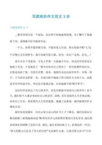 寫底線的作文范文3份
