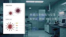 普通汉坦病毒与安第斯型汉坦病毒对比分析