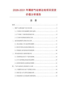 2026-2031年精密氣動修邊槍項目投資價值分析報告