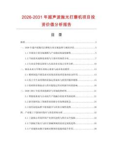 2026-2031年超聲波拋光打磨機項目投資價值分析報告