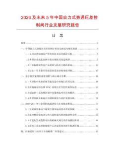 2026及未來5年中國自力式旁通壓差控制閥行業發展研究報告