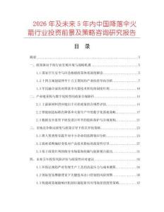 2026年及未來5年內中國降落傘火箭行業投資前景及策略咨詢研究報告