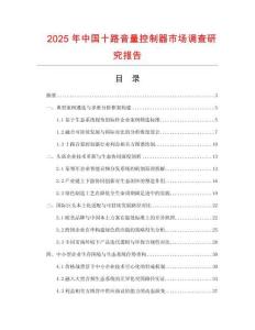 2025年中國十路音量控制器市場調查研究報告