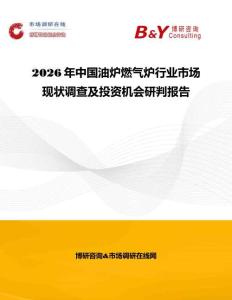 2026年中國油爐燃氣爐行業市場現狀調查及投資機會研判報告