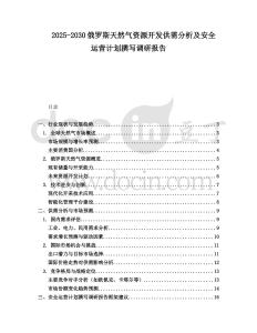 2025-2030俄羅斯天然氣資源開發(fā)供需分析及安全運營計劃撰寫調(diào)研報告