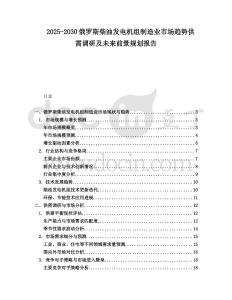 2025-2030俄羅斯柴油發(fā)電機組制造業(yè)市場趨勢供需調(diào)研及未來前景規(guī)劃報告