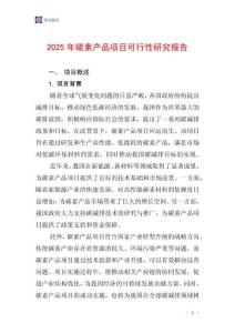 2025年碳素產品項目可行性研究報告
