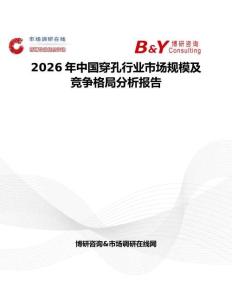 2026年中國穿孔行業(yè)市場規(guī)模及競爭格局分析報告