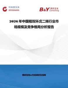 2026年中國粗雙環(huán)戊二烯行業(yè)市場規(guī)模及競爭格局分析報告