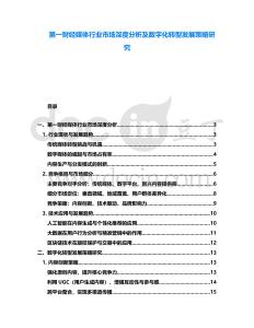 第一財經媒體行業市場深度分析及數字化轉型發展策略研究