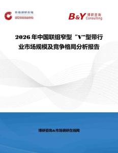 2026年中国联组窄型“V”型带行业市场规模及竞争格局分析报告