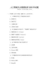 人工智能與大數(shù)據(jù)技術(shù)2025年試題