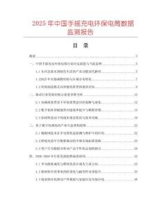 2025年中國手搖充電環保電筒數據監測報告