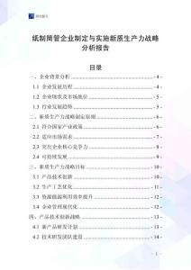 紙制筒管企業(yè)制定與實(shí)施新質(zhì)生產(chǎn)力戰(zhàn)略分析報(bào)告
