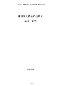 甲烷氯化物生產(chǎn)線項(xiàng)目商業(yè)計(jì)劃書