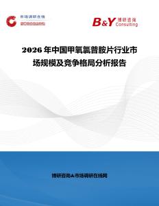2026年中國甲氧氯普胺片行業市場規模及競爭格局分析報告