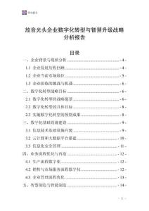 放音光頭企業數字化轉型與智慧升級戰略分析報告