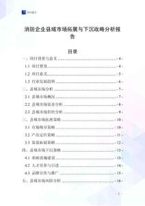消防企業縣域市場拓展與下沉戰略分析報告