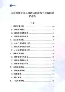 天然松脂企業縣域市場拓展與下沉戰略分析報告