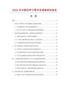 2025年中國回聲口琴市場調查研究報告