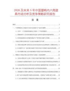 2026及未來5年中國塑柄內(nèi)六角旋具市場分析及競爭策略研究報告
