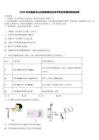 2026年云南省文山壯族苗族自治州中考化學模擬預測試卷（含答案解析）