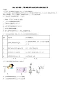 2026年云南省文山壯族苗族自治州中考化學模擬預測試卷（含答案解析）