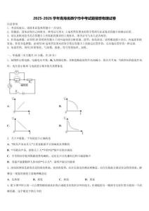 2025-2026学年青海省西宁市中考试题猜想物理试卷（含答案解析）