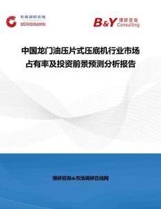 中國龍門油壓片式壓底機(jī)行業(yè)市場占有率及投資前景預(yù)測分析報告