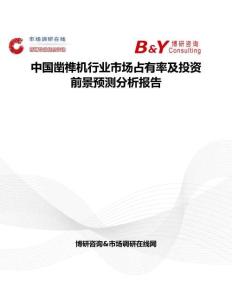 中國(guó)鑿榫機(jī)行業(yè)市場(chǎng)占有率及投資前景預(yù)測(cè)分析報(bào)告