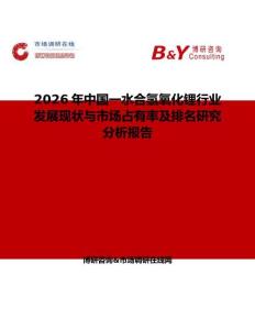 2026年中國一水合氫氧化鋰行業發展現狀與市場占有率及排名研究分析報告