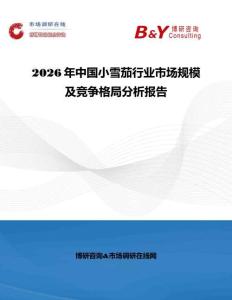 2026年中國小雪茄行業(yè)市場規(guī)模及競爭格局分析報告