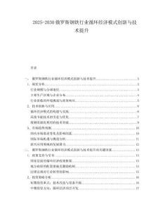 2025-2030俄羅斯鋼鐵行業(yè)循環(huán)經(jīng)濟模式創(chuàng)新與技術(shù)提升