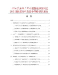2026及未來5年中國智能探測料位計市場數(shù)據(jù)分析及競爭策略研究報告