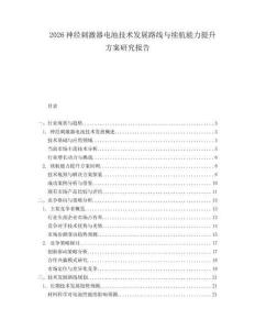 2026神經(jīng)刺激器電池技術(shù)發(fā)展路線與續(xù)航能力提升方案研究報告