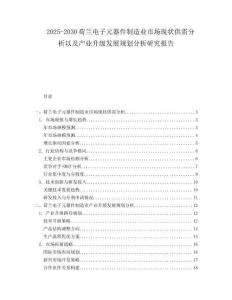 2025-2030荷蘭電子元器件制造業(yè)市場現(xiàn)狀供需分析以及產(chǎn)業(yè)升級發(fā)展規(guī)劃分析研究報告