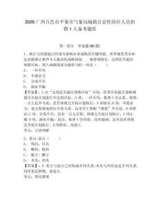 2026廣西百色市平果市氣象局城鎮(zhèn)公益性崗位人員招聘1人備考題庫及參考答案詳解（模擬題）