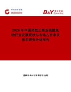 2026年中國癸酰乙醛亞硫酸氫鈉行業發展現狀與市場占有率及排名研究分析報告