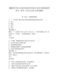 2025四川樂山市沐川縣茨竹鄉朝天馬社區招募高校畢業生（青年）見習人員2人參考題庫及完整答案詳解1套