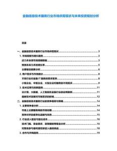 金融信息技術服務行業市場供需現狀與未來投資規劃分析